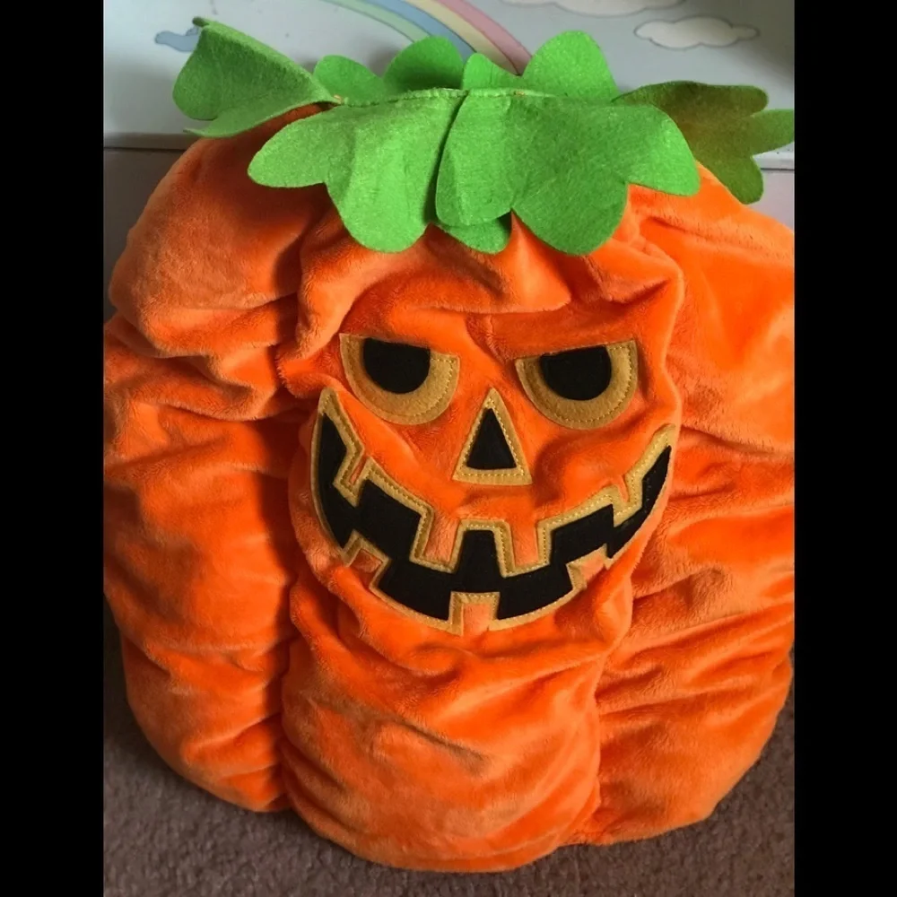 Halloween 🎃 Pumpkin Large Pet Costume